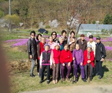 ������ ����